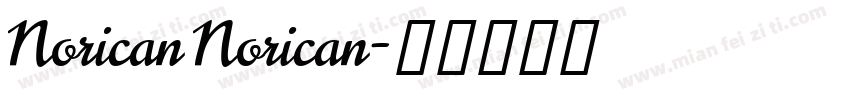 Norican Norican字体转换